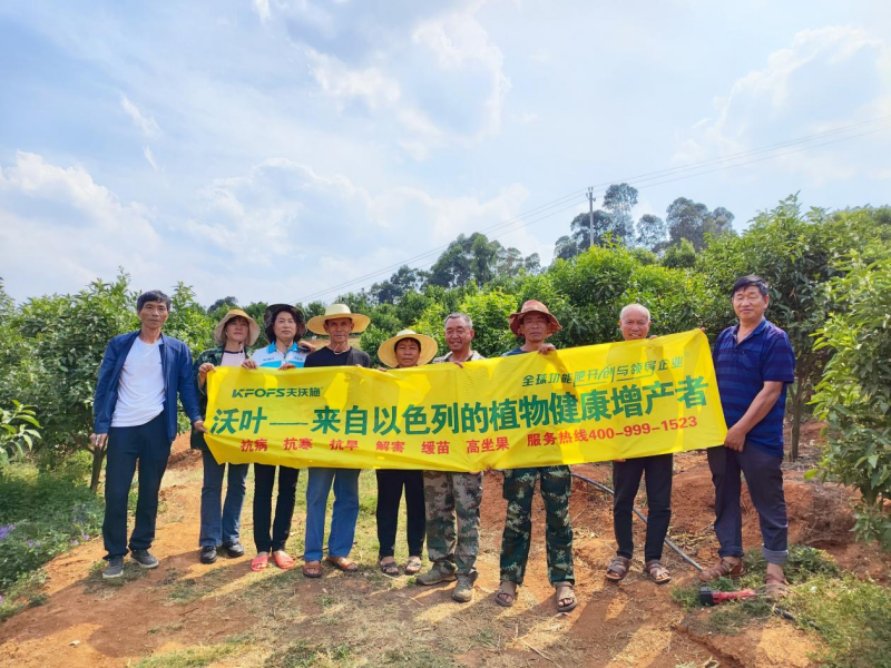 怎么讓土壤變得肥沃-夫沃施觀摩會(huì).png