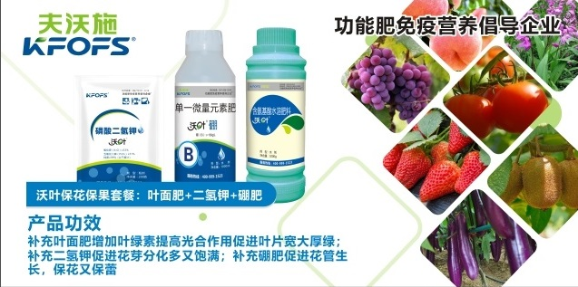 沃葉?；ū９~面肥套餐一.png